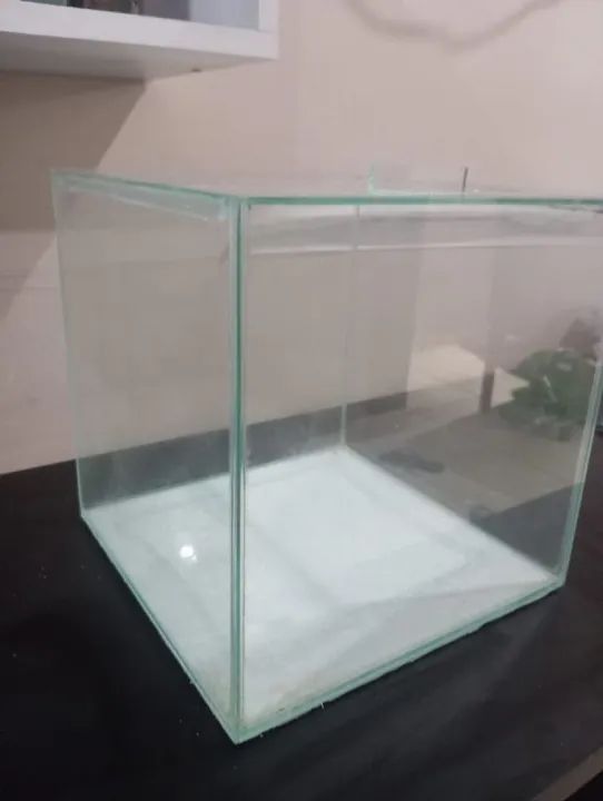 KIT aquário completo pronto para uso  - Foto 3