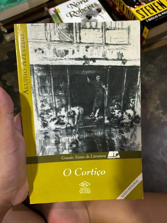 Literatura Brasileira - Foto 2