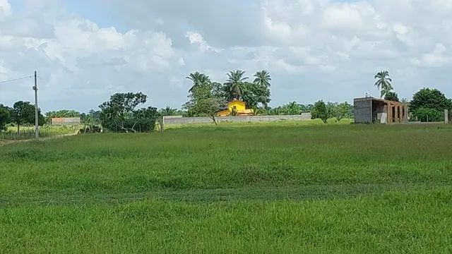 Terrenos - Feira de Santana - Humildes 200 m2 - Foto 2