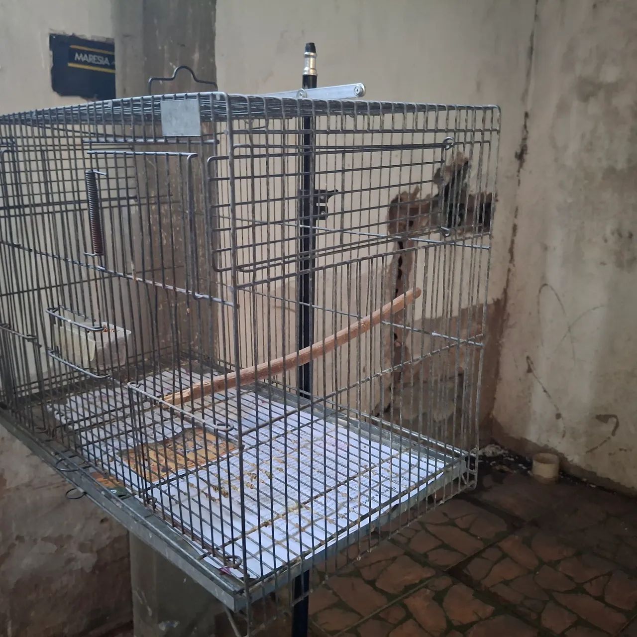 Gaiolas Pet Reprodução  - Foto 4