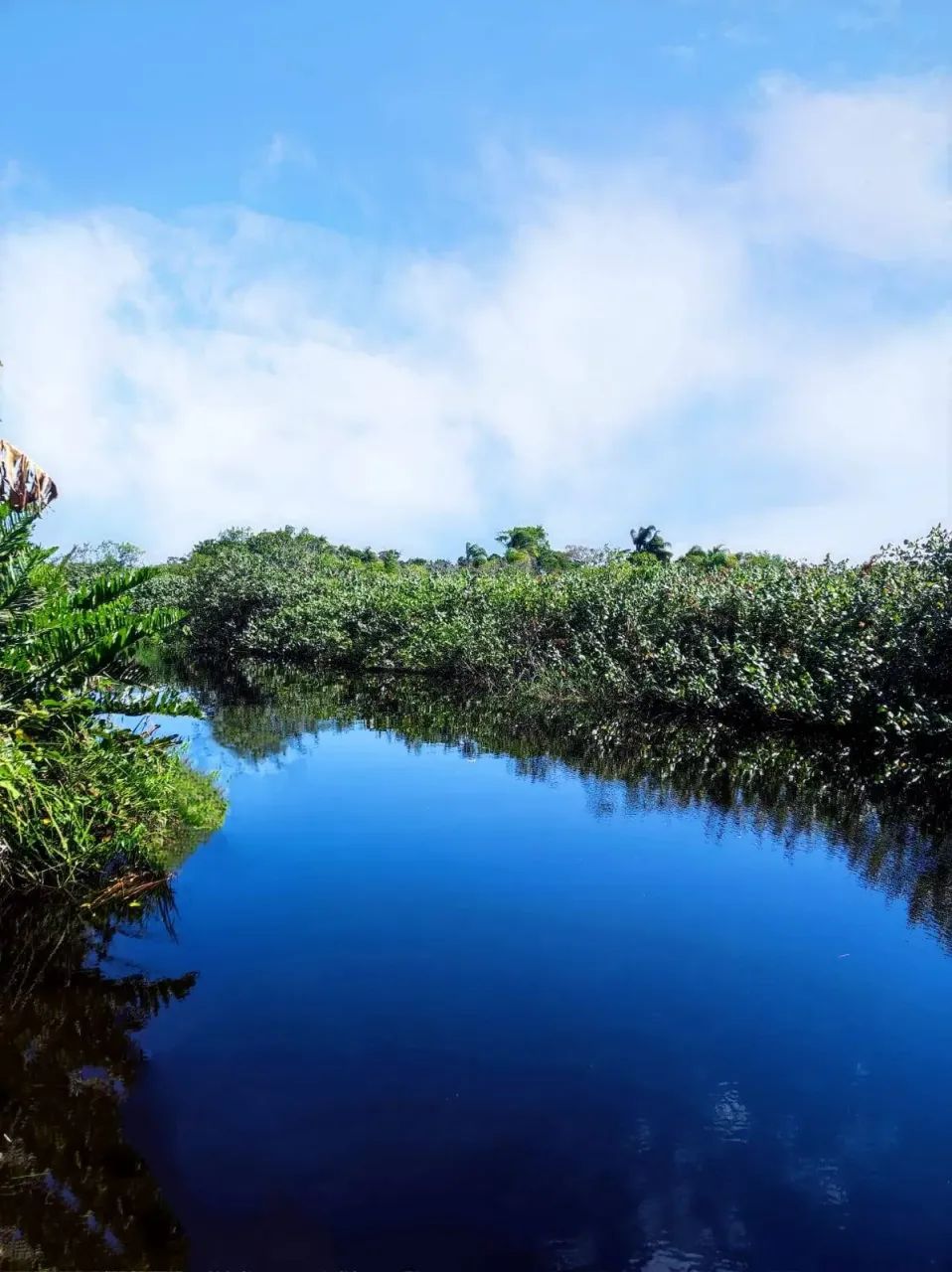 Terreno com de 444,00 m², à venda em Balneário Barra do Sul - Costeira - Foto 4