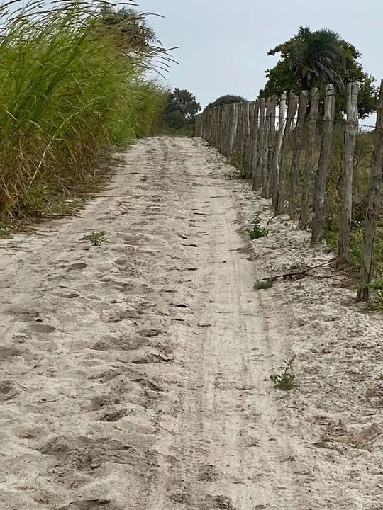 Sítio de 12 hectares à venda no Sítio Jardim(Garanhuns/PE) - Foto 3