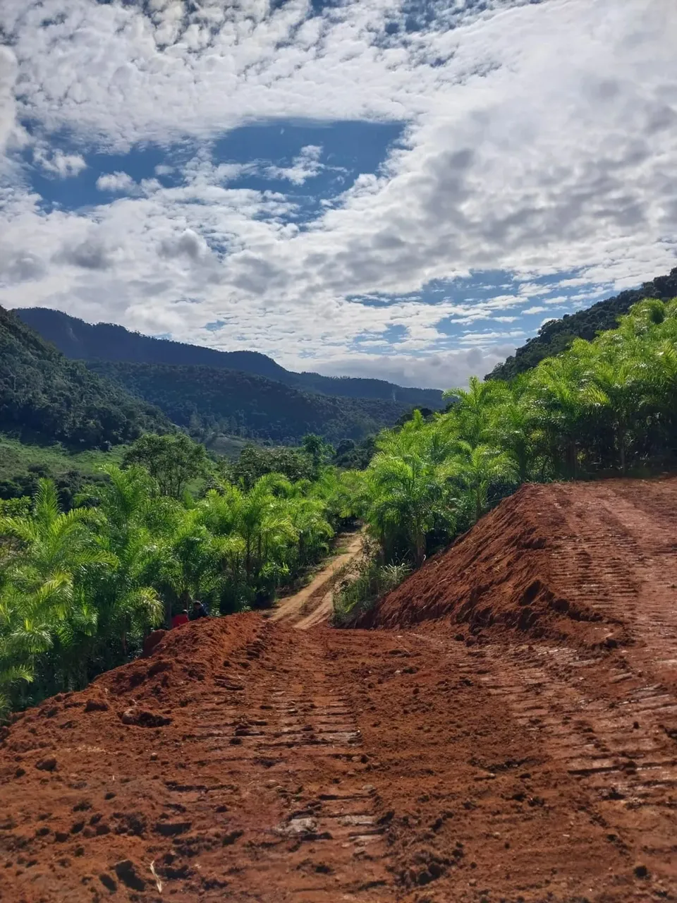 Chácaras em Peixe Verdes a partir de R$ 120.000,00