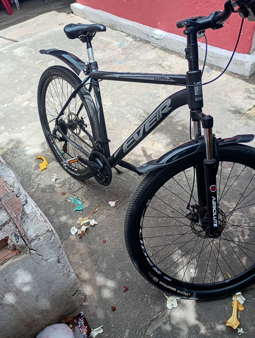Bicicleta Ever Way Aro 29