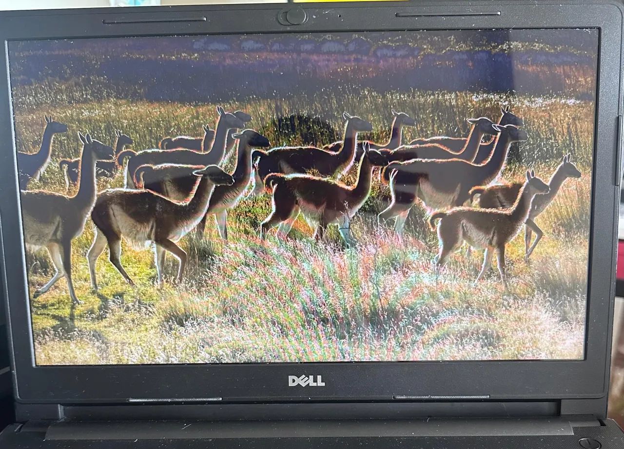 Notebook Dell 64308003654658122