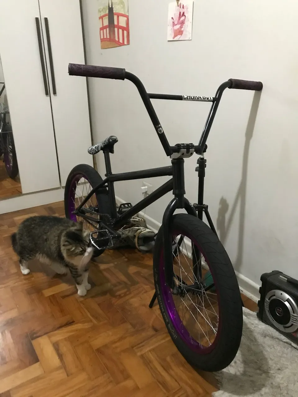 BMX Master nova