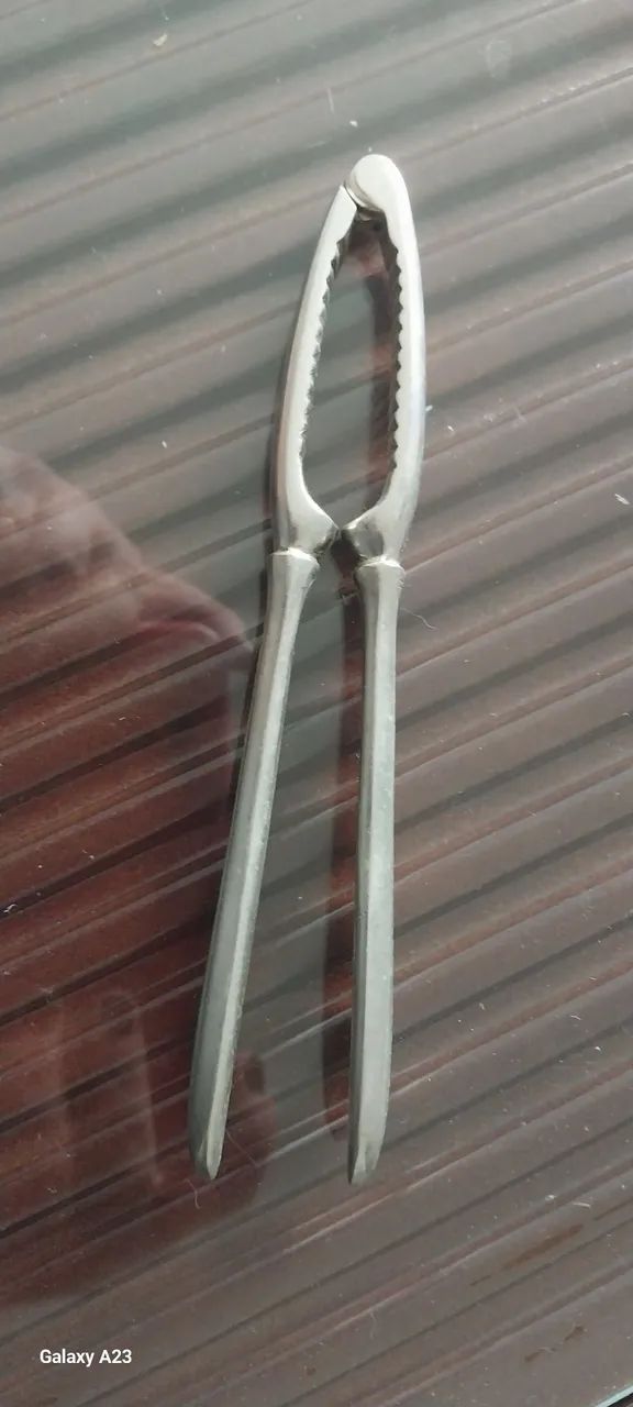 Quebra Nozes de Aço Inox