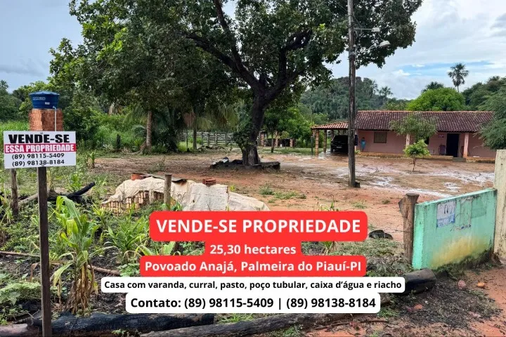 Propriedade Rural de 25,30 ha à Venda em Palmeira do Piauí