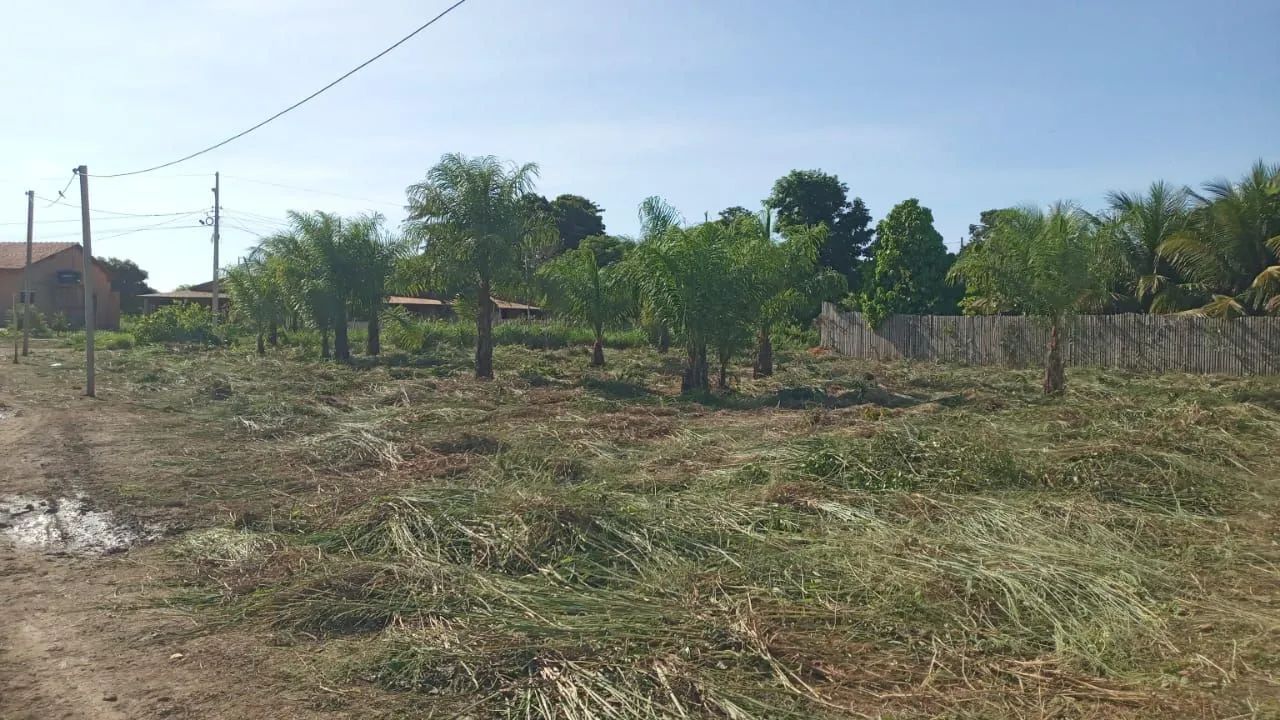Limpeza de terrenos  - Foto 5