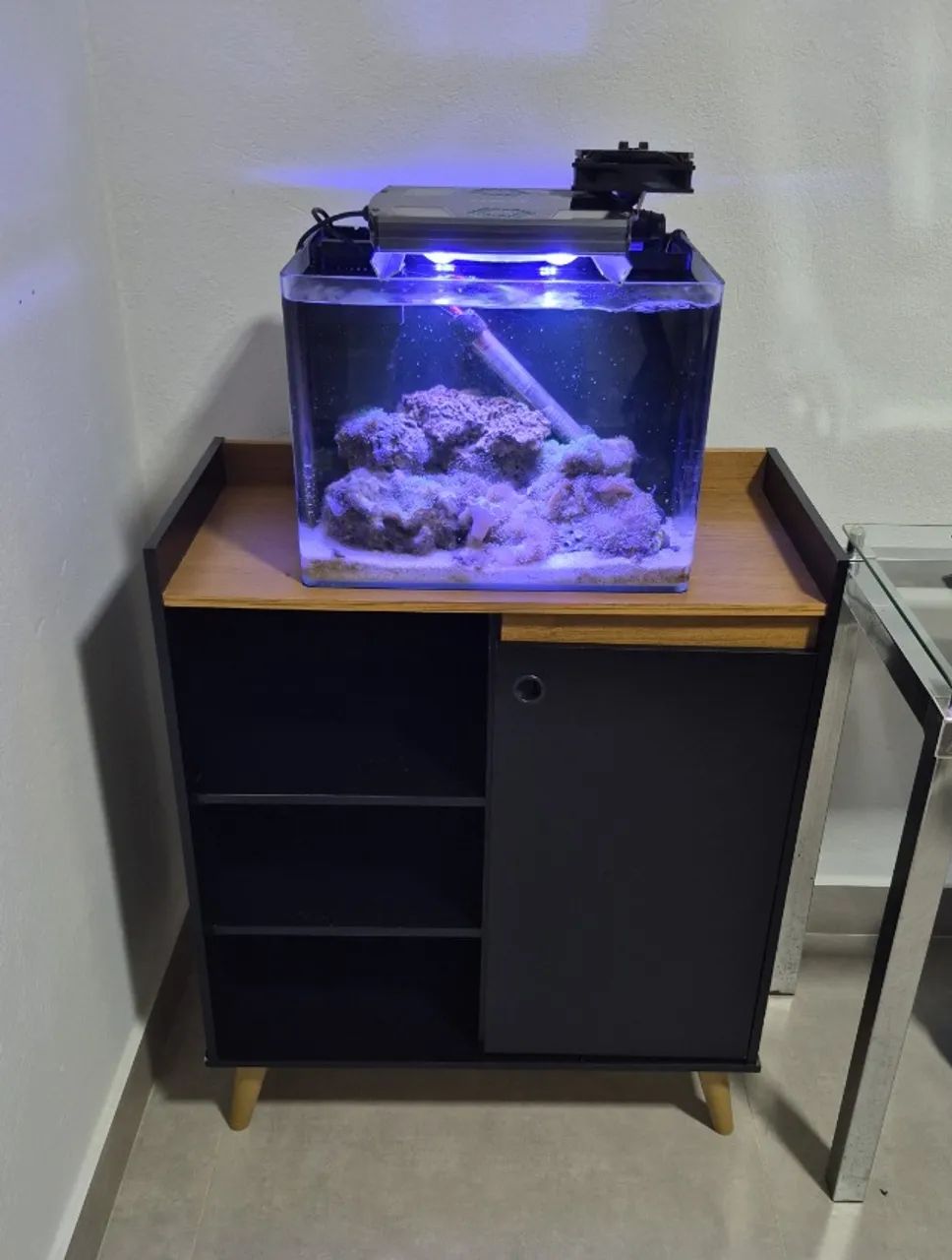Aquario Marinho Nano Reef Completo Vidro Curvo Ocean Tech - Foto 4