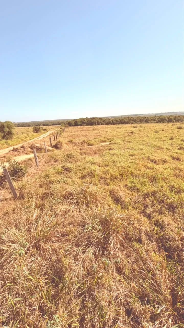 Sítio a venda em Comodoro Mato Grosso - Foto 3