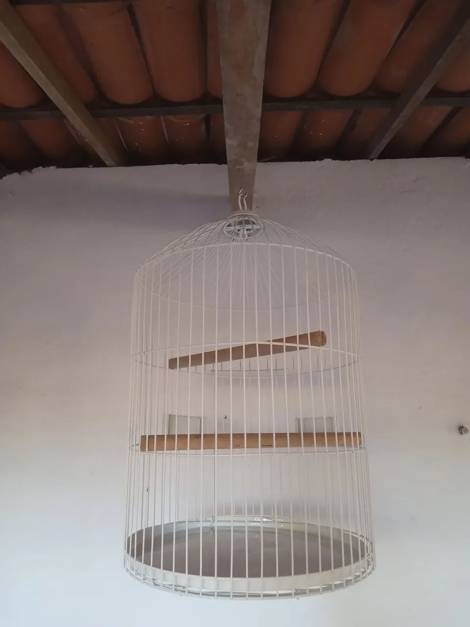 Gaiola  - Foto 3