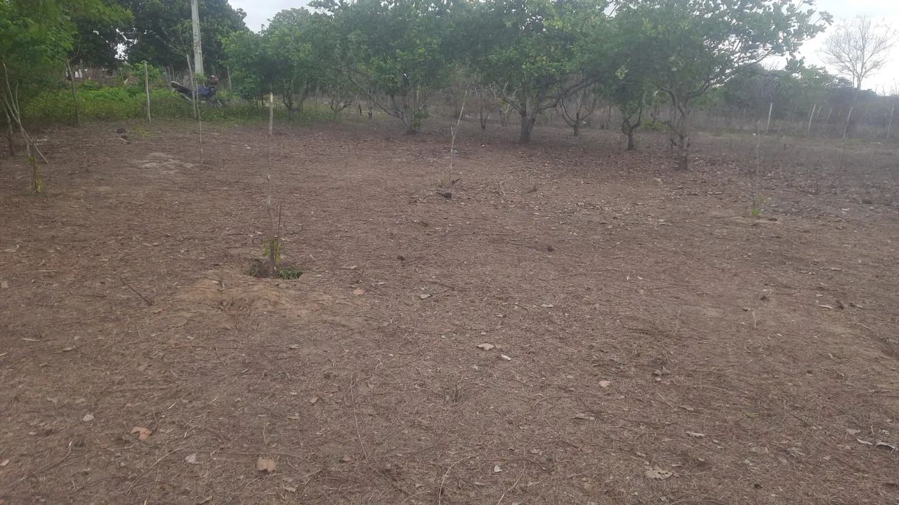 Vendo ou troco terreno em  horizonte  - Foto 2