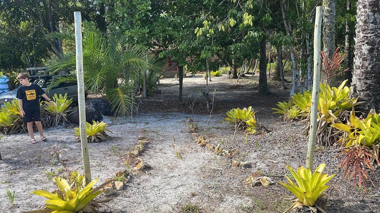 OPORTUNIDADE- Lindo terreno na Ba 001 - Foto 3