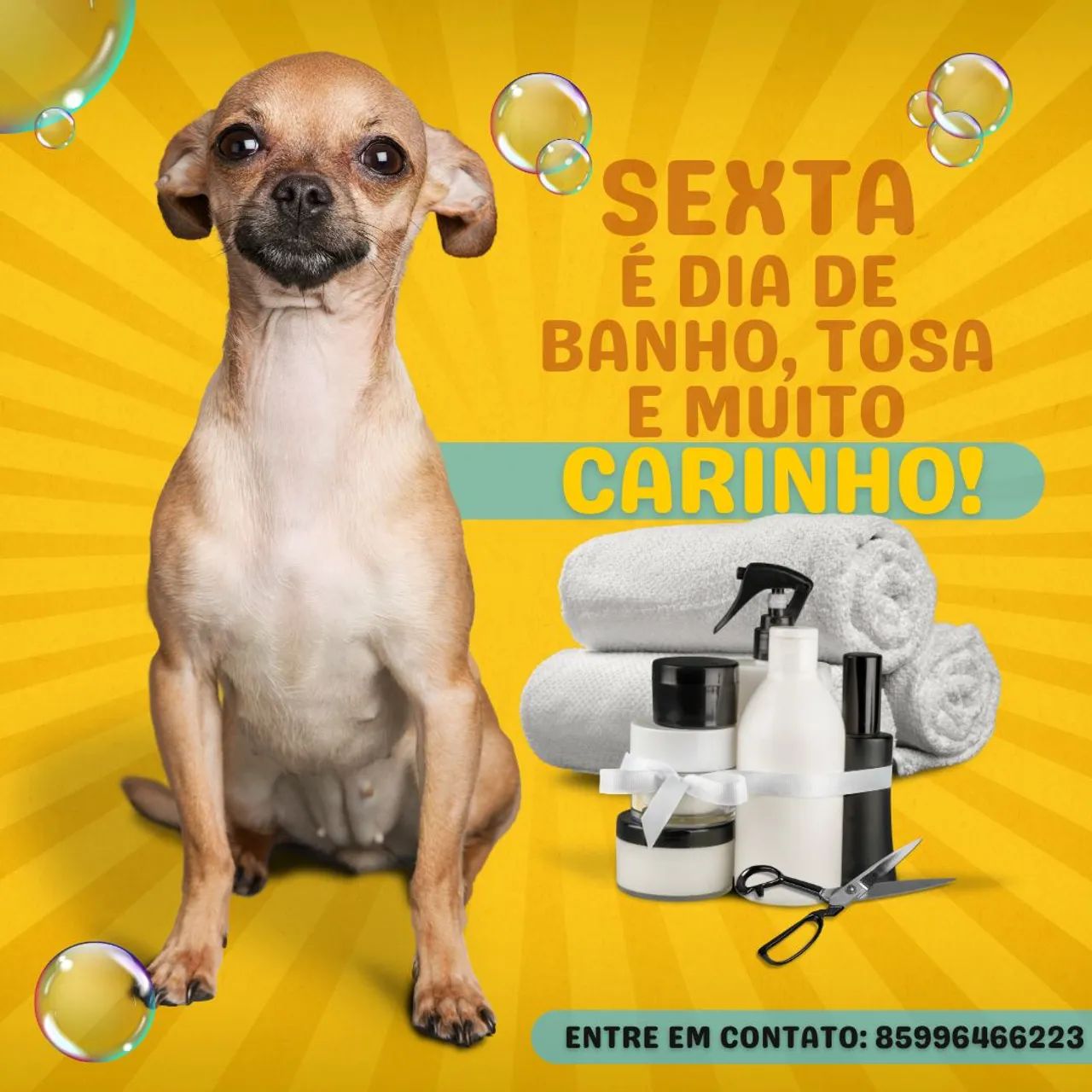 Banho e tosa profissional 