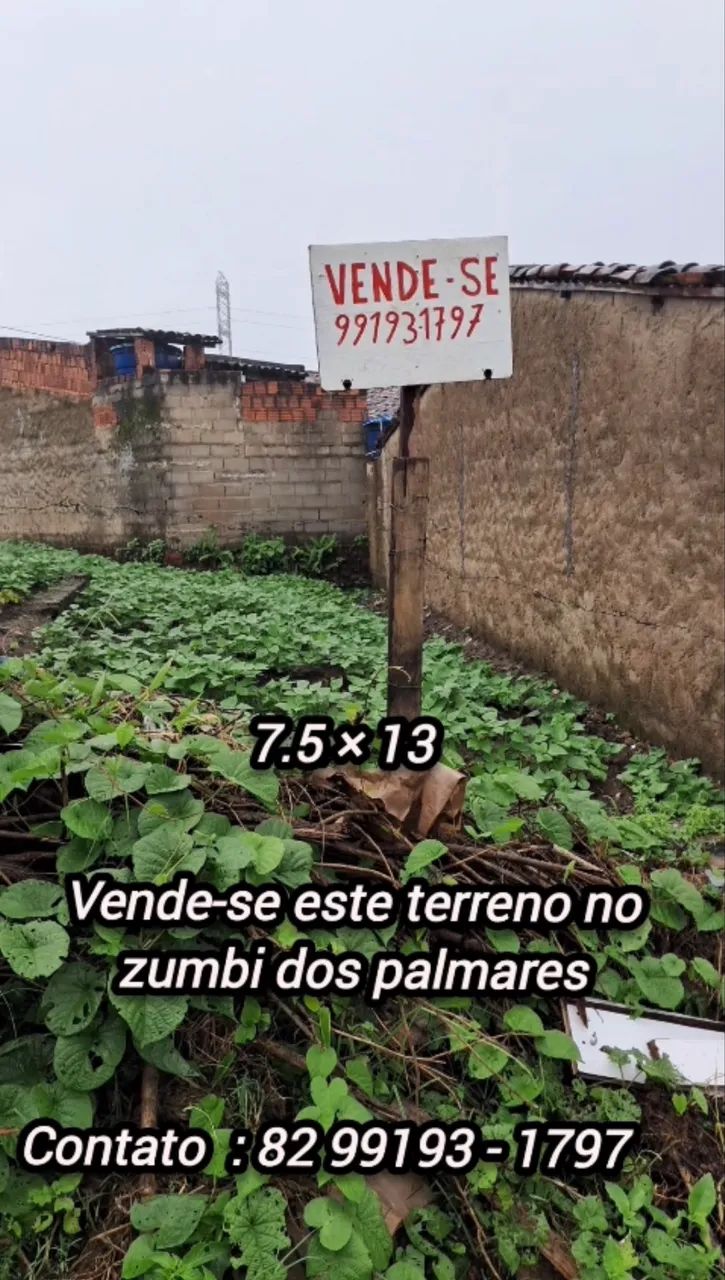 Vender terreno em união dos Palmares  - Foto 3