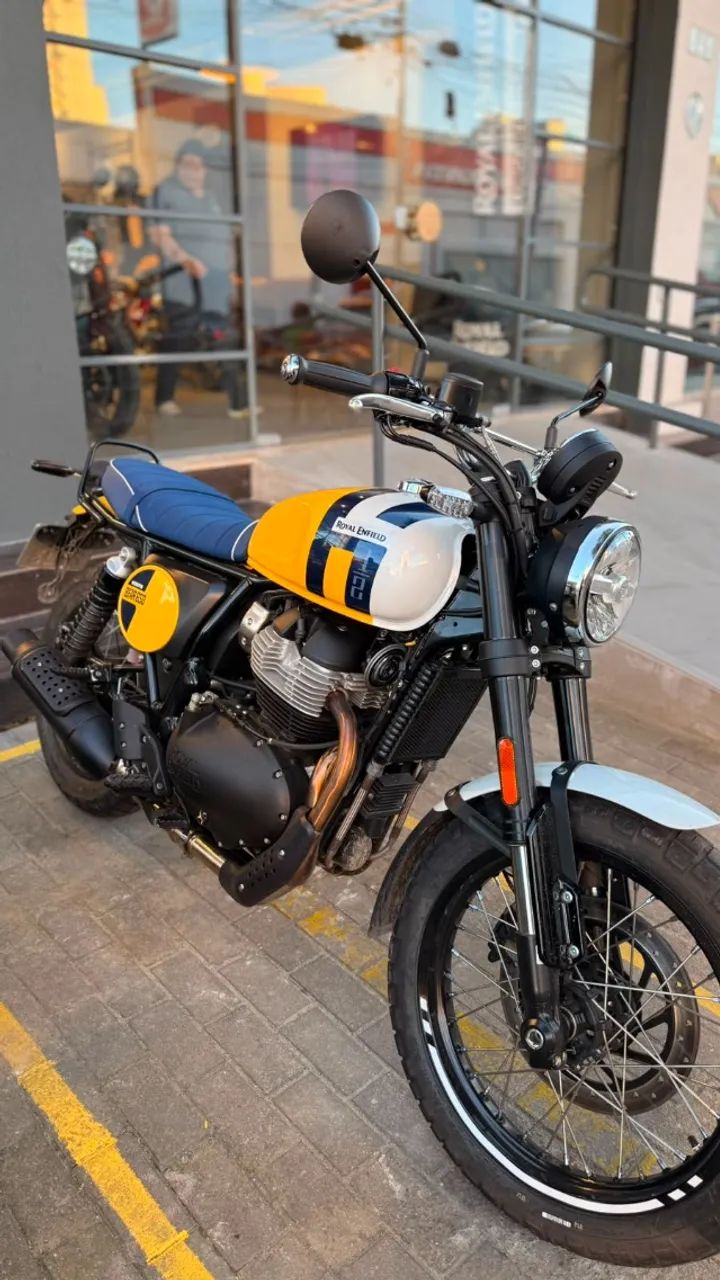 BEAR 650 WILD HONEY