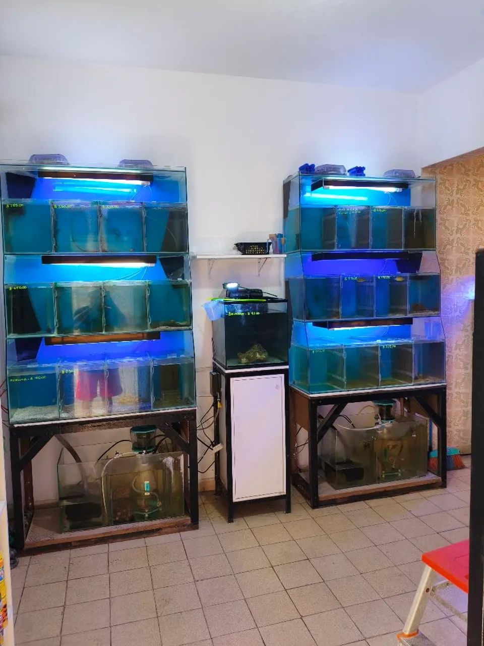 Bateria completa 