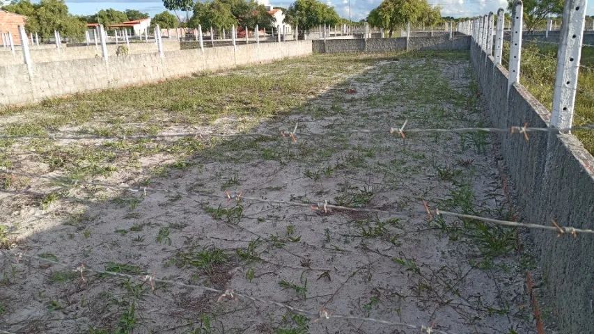 Terreno na barra 300 m2 - Foto 2