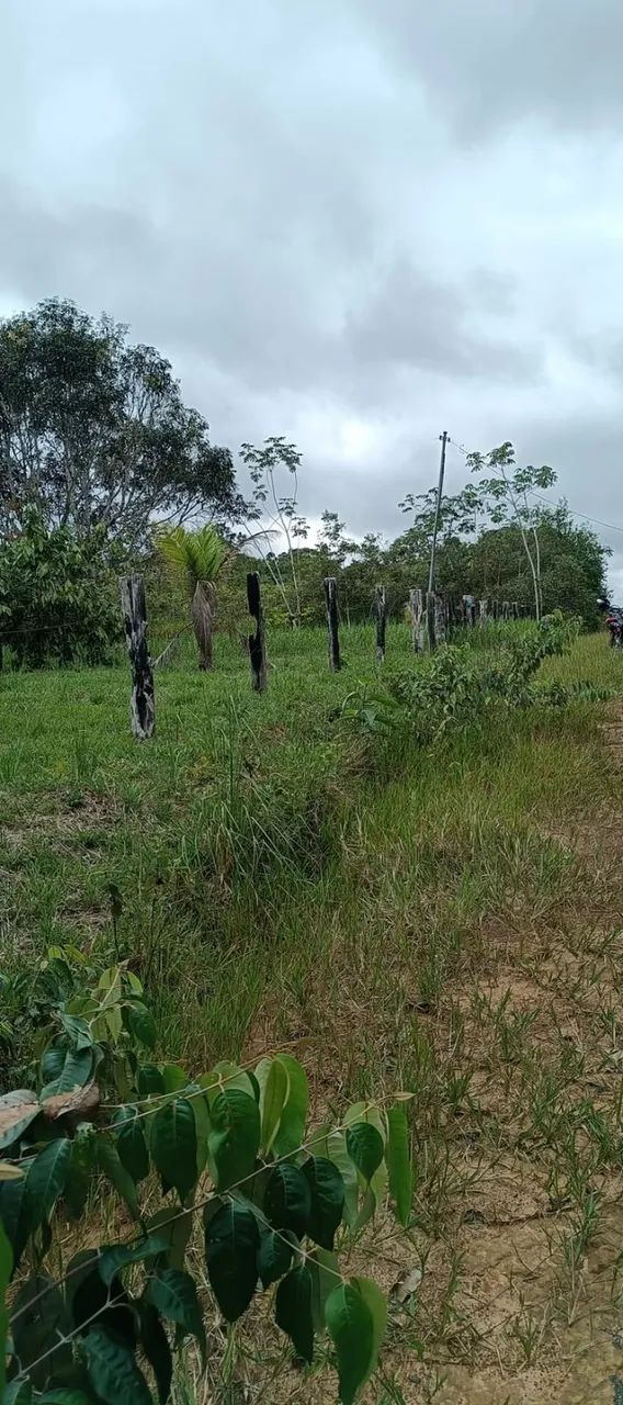 Sítio à venda br-319 Km 110