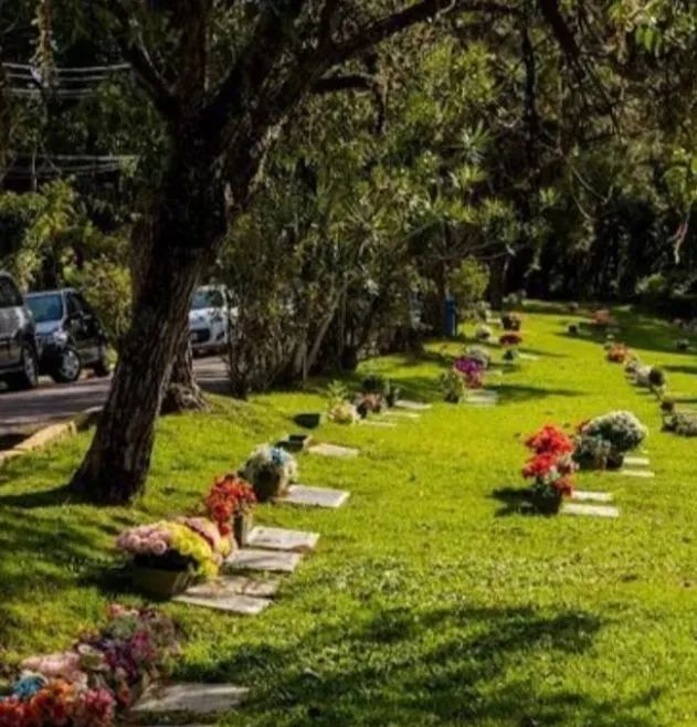 TERRENO NO CEMITÉRIO JARDIM DA PAZ - Foto 5
