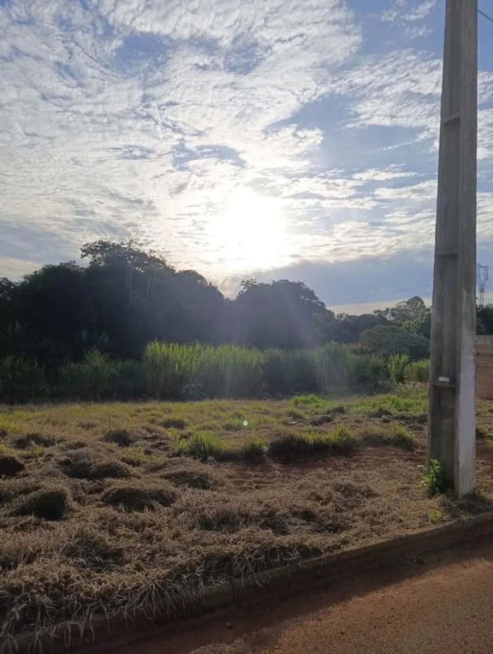 Foto - Santa Tereza do Oeste - 