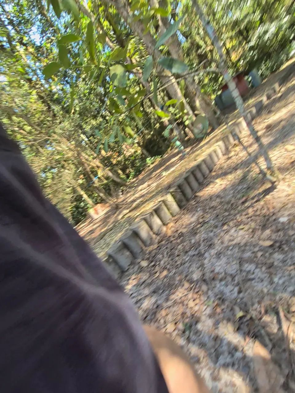 Rural Chácara em Itirapina - Foto 3