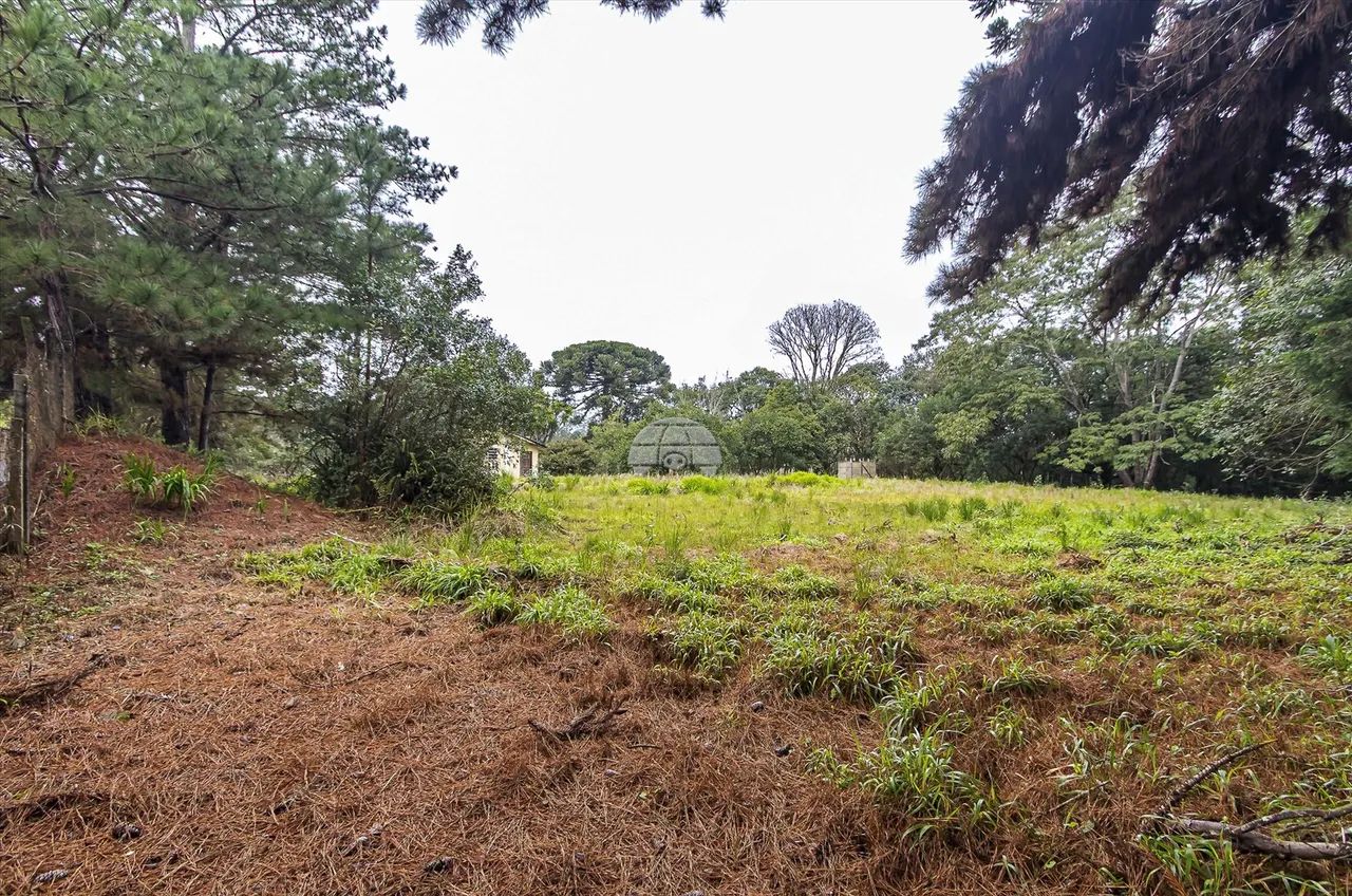 Vendas Área Piraquara PR - Foto 4
