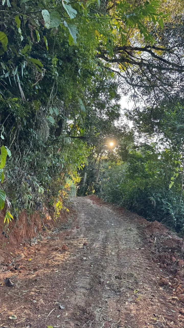 Sítio de 2 alqueires a venda - Foto 2