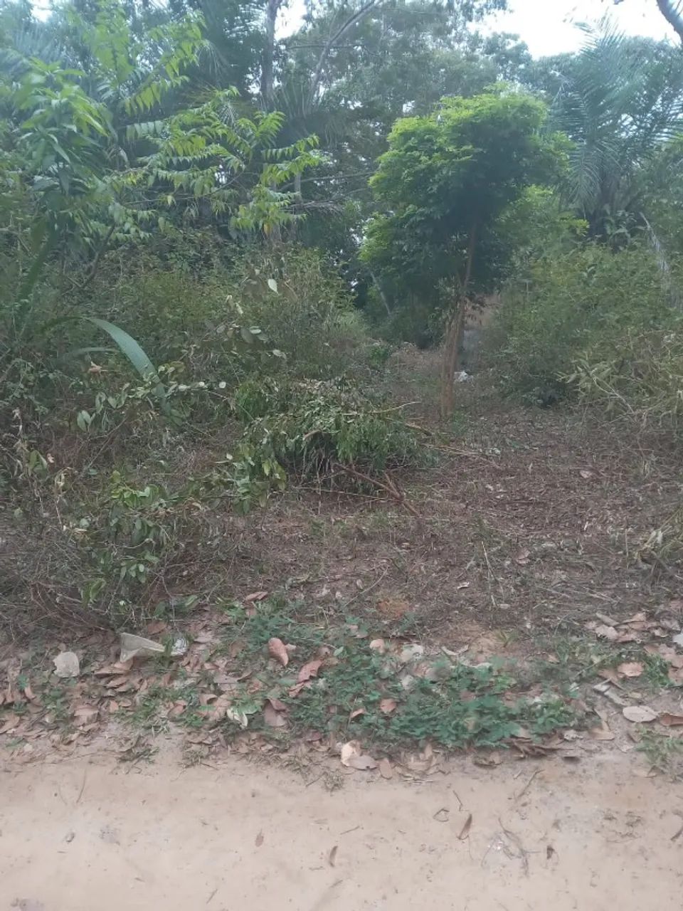 TERRENO PRÓXIMO PRAIA DO FORTE  - Foto 2
