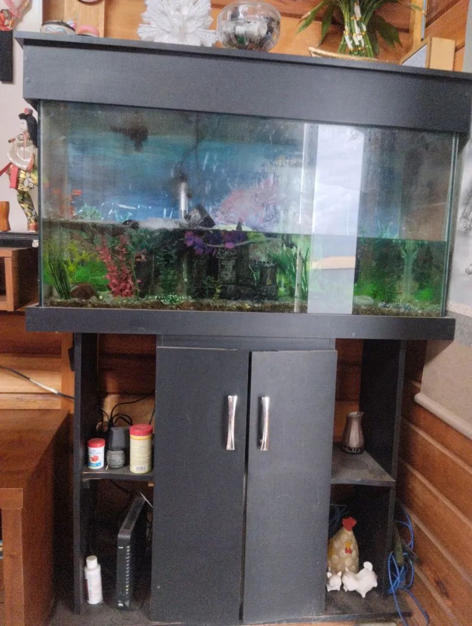 VENDO AQUARIO MOTIVO MUDANÇA NAO ENTREGO 