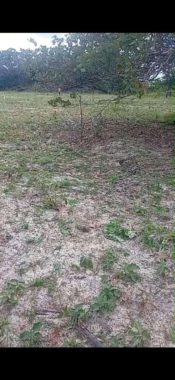 Terreno, lote, horizonte - Foto 4