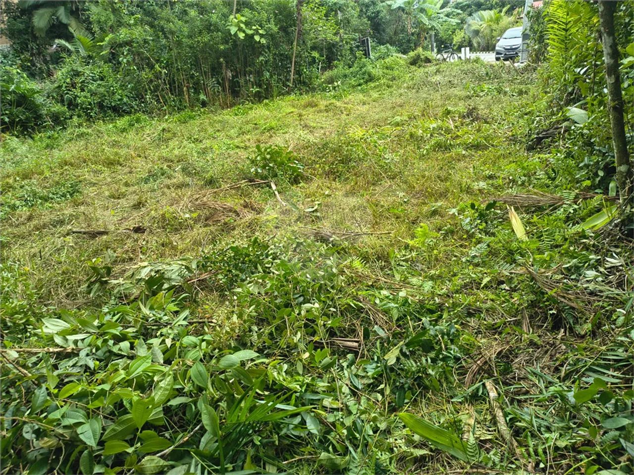Terreno à venda em Costa do sol - SP - Foto 3