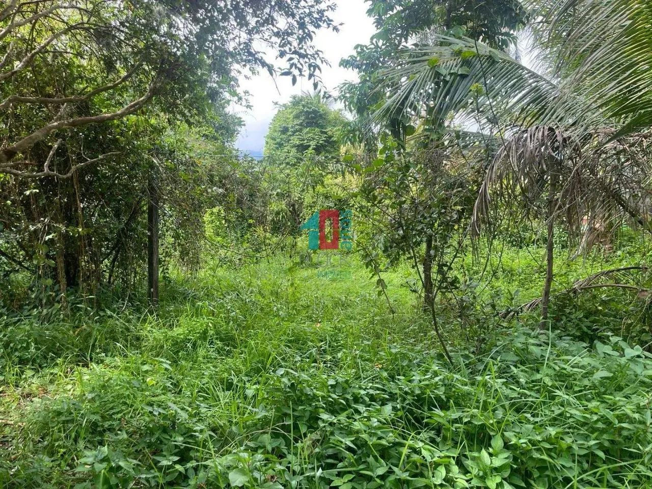 Vargem Grande | Terreno 1 quarto - Foto 10