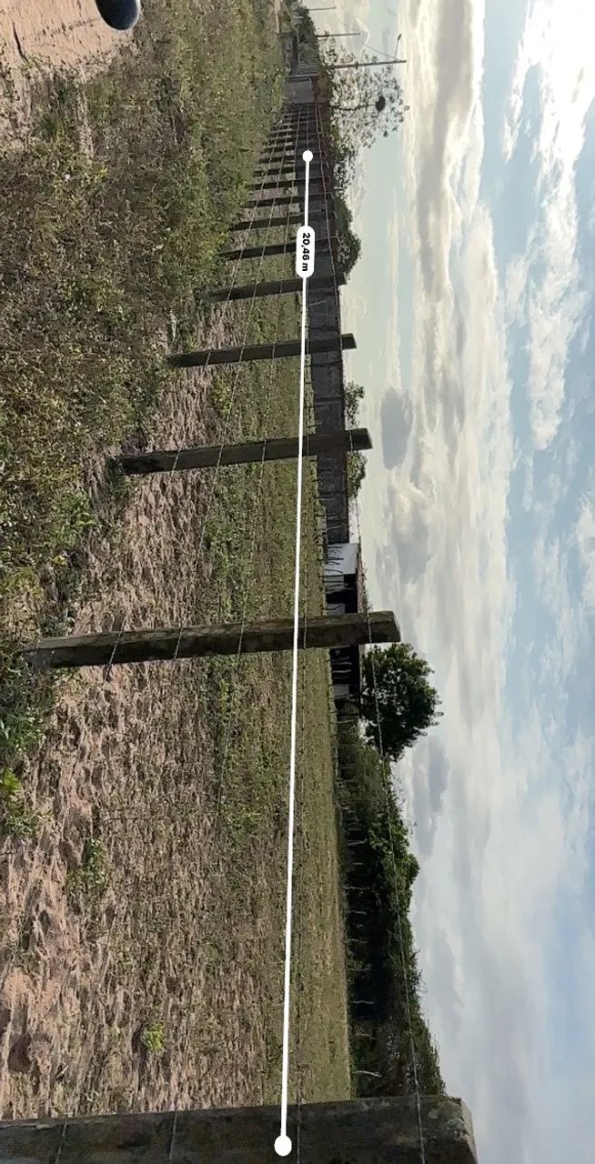 Lote 