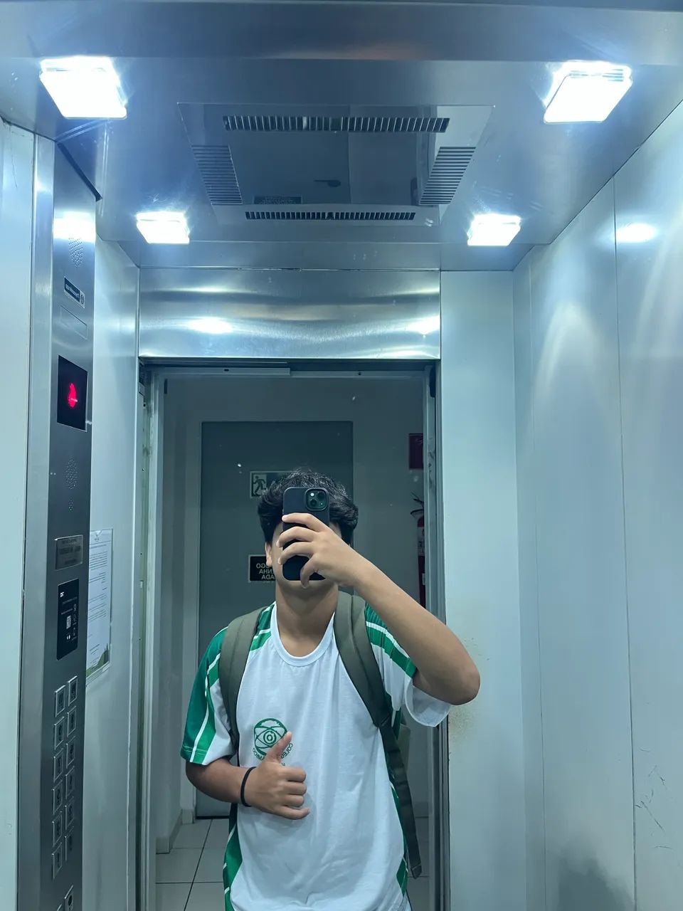 Dois Pônei a venda  - Foto 5