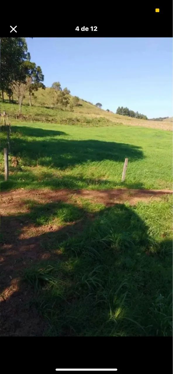 Sítio a venda  - Foto 4
