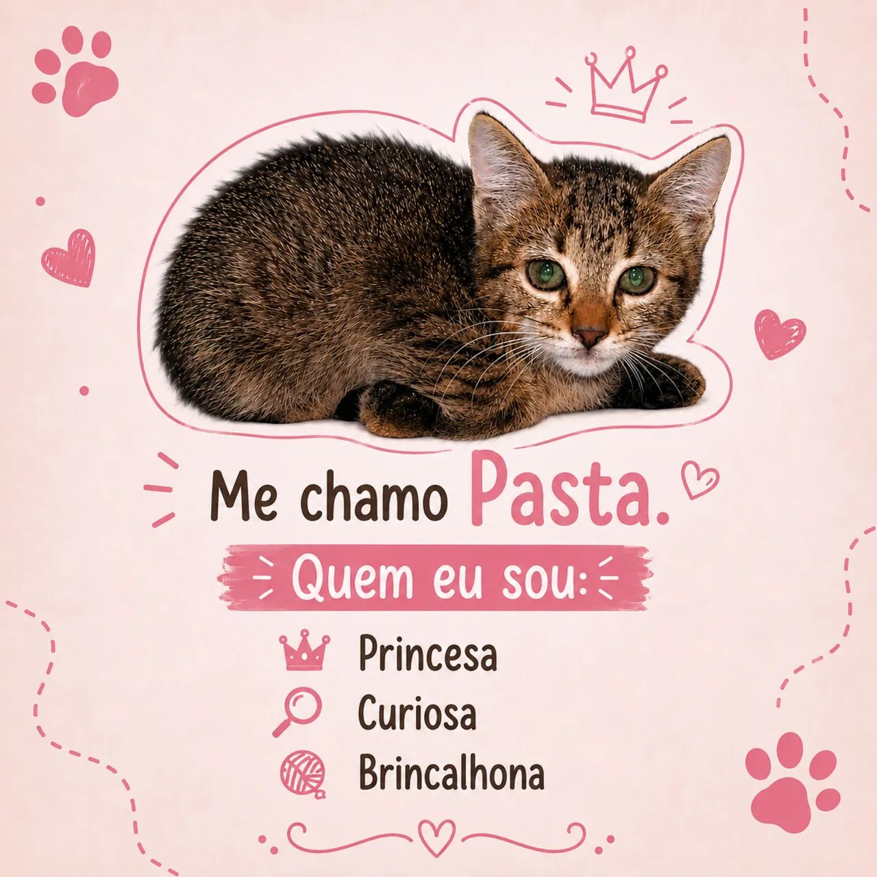 Gatinhos para adoção  - Foto 2