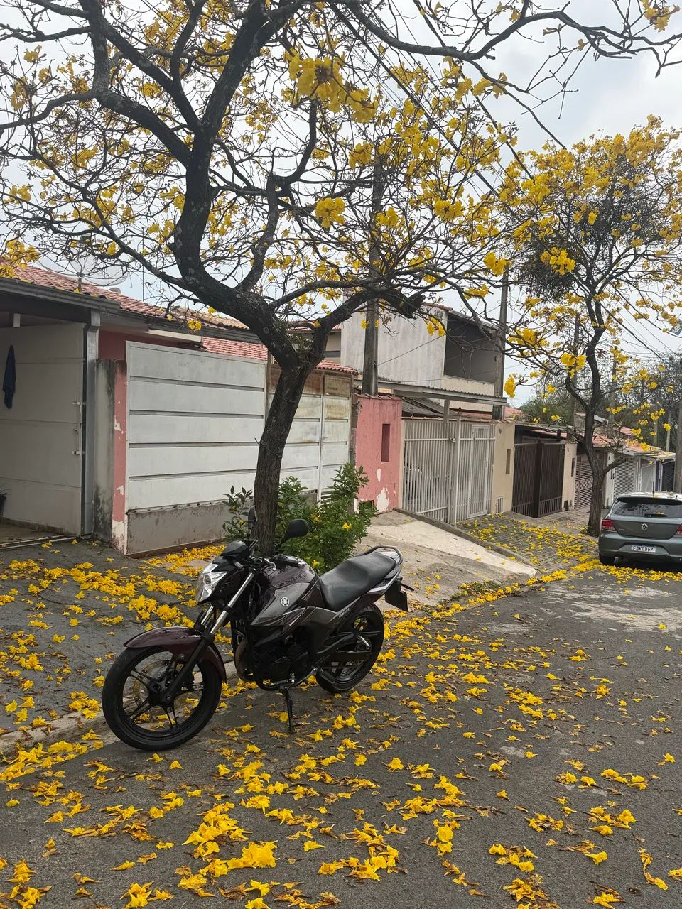 Vendo fazer 250 blueflex 2017  - Foto 2