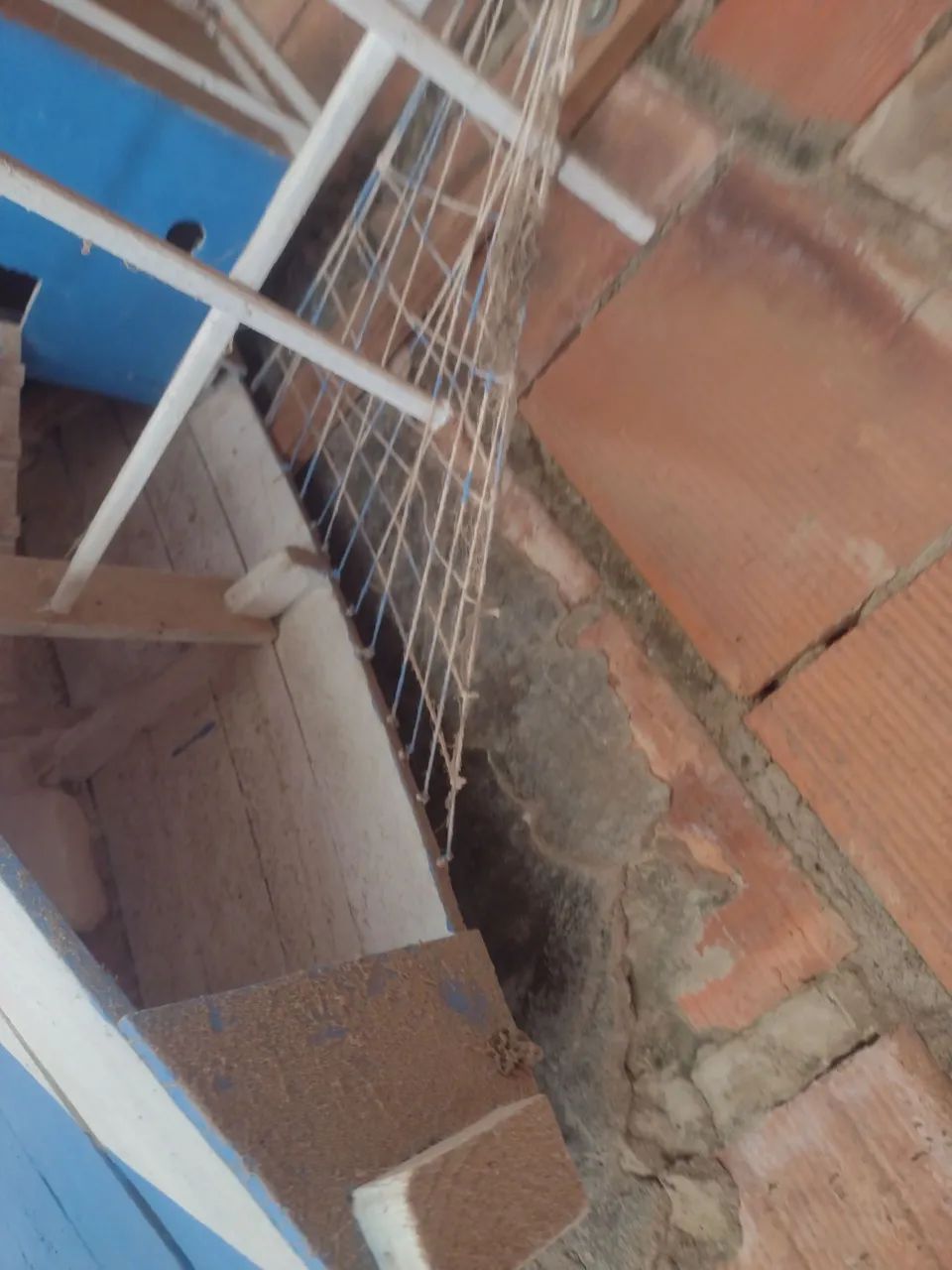 Barco de seu marujo  - Foto 3