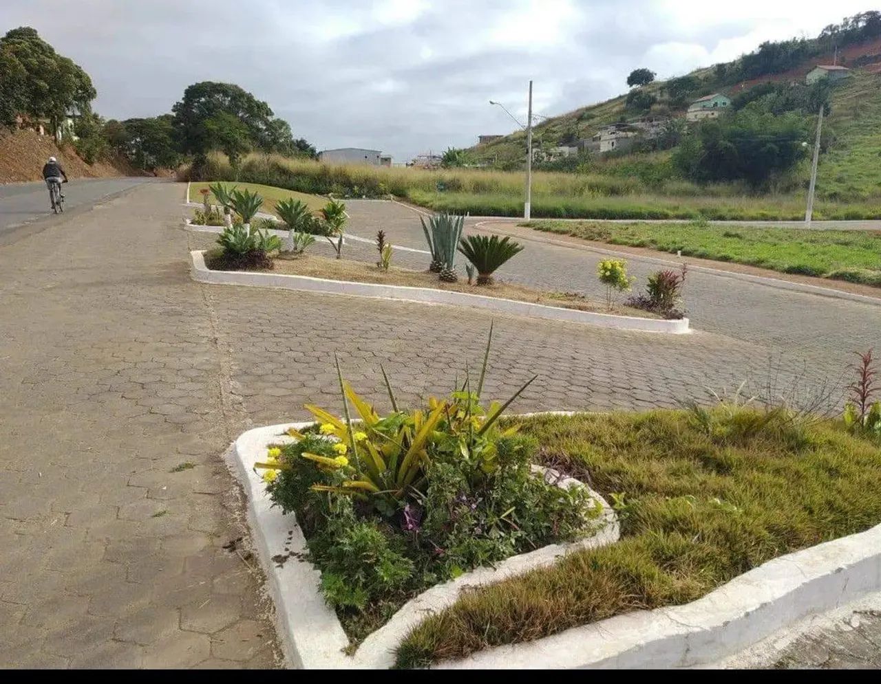 LOTE 
