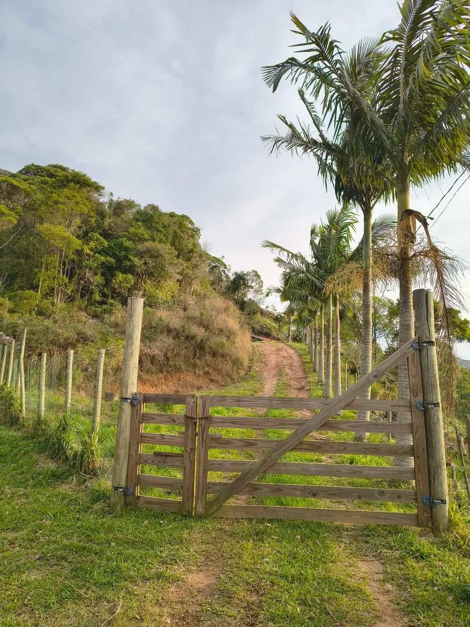SÍTIO À VENDA - ALTO DO SERTÃO DO CANGUERI  - Foto 2