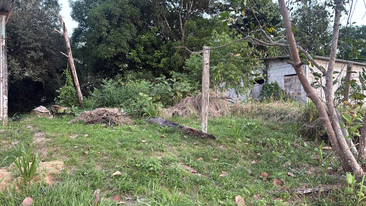 Vendo terreno no ramal do brasileirinho 
