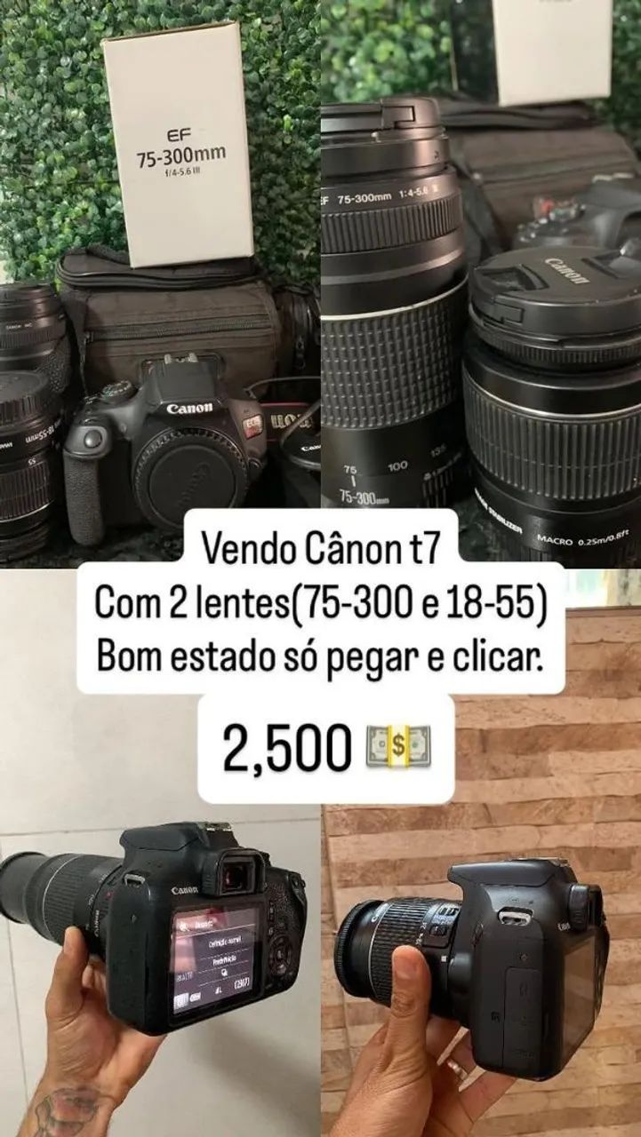 Câmera canon t7 c 2 lentes(75x300/18-55) 63mil clicks - Câmeras e