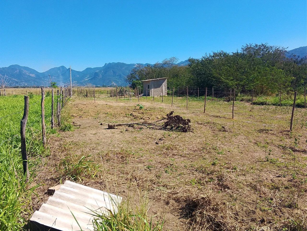 Terreno na entrada da estrada das Palmeiras - Foto 2