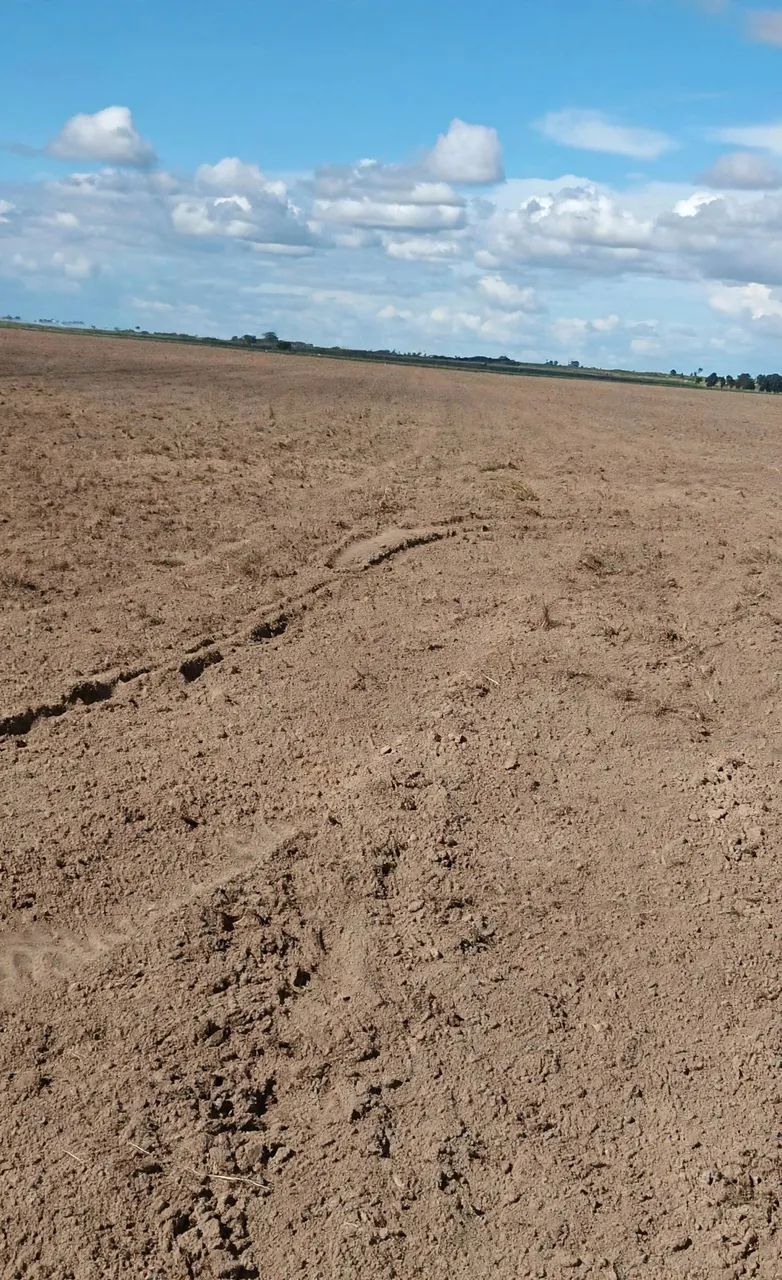 Fazenda para venda , arrendamento ou permuta  - Foto 3