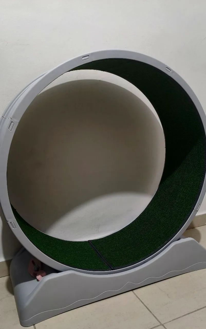Roda de gato  - Foto 2