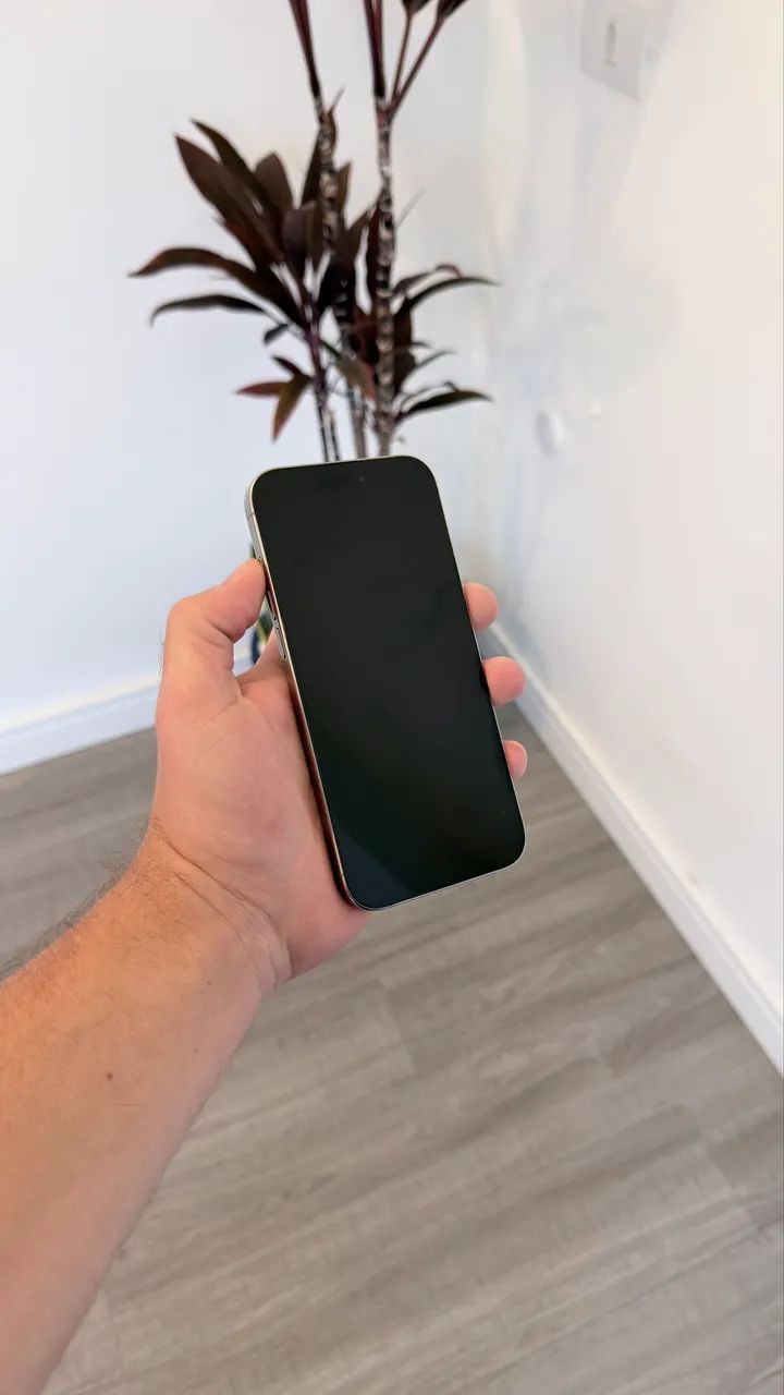 iPhone 16 Pro Max 256gb impecável  - Foto 4