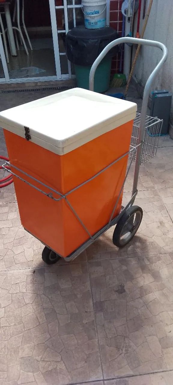 CARRINHO PARA TRANSPORTE DE ÍTENS RESFRIADOS - LER ANÚNCIO ATENTAMENTE  - Foto 2