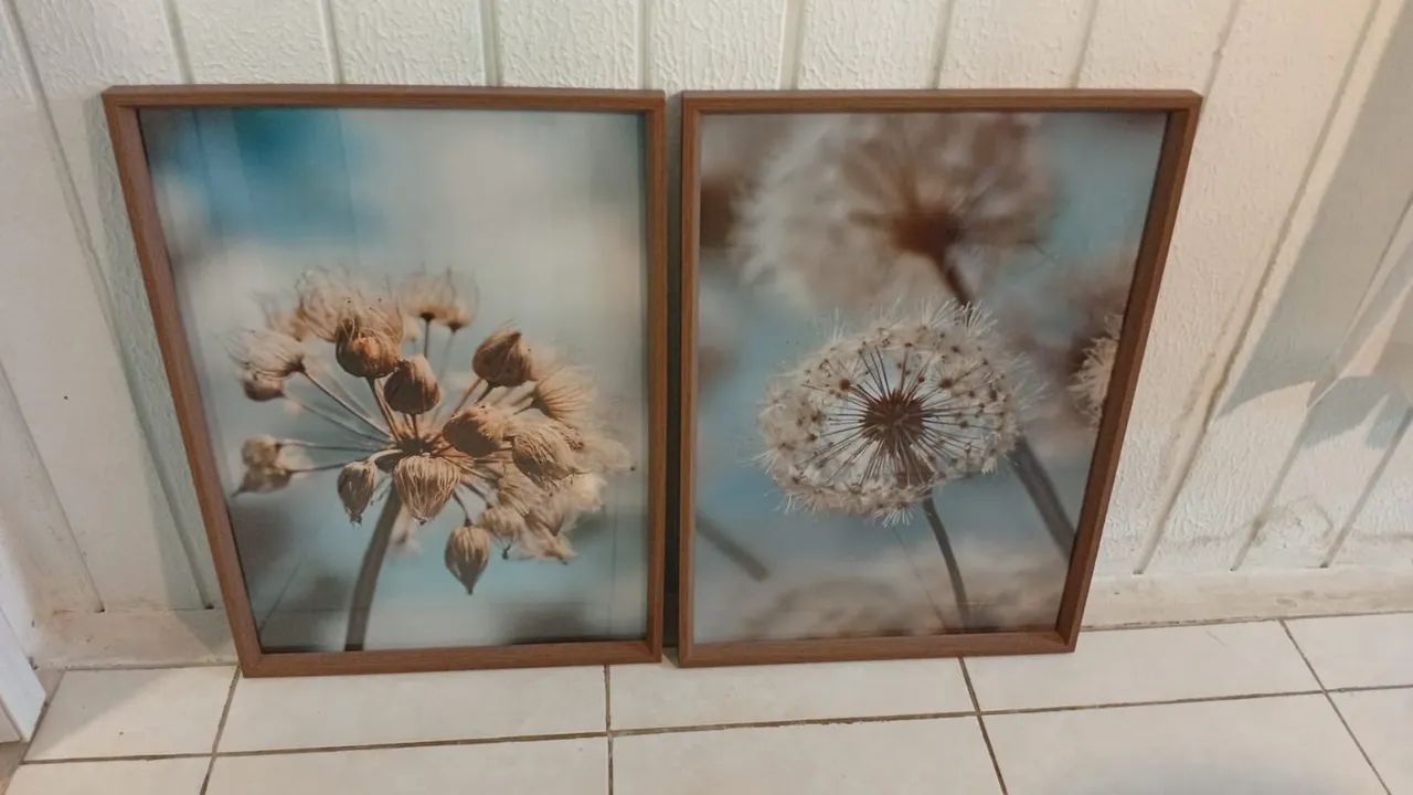 Quadros 